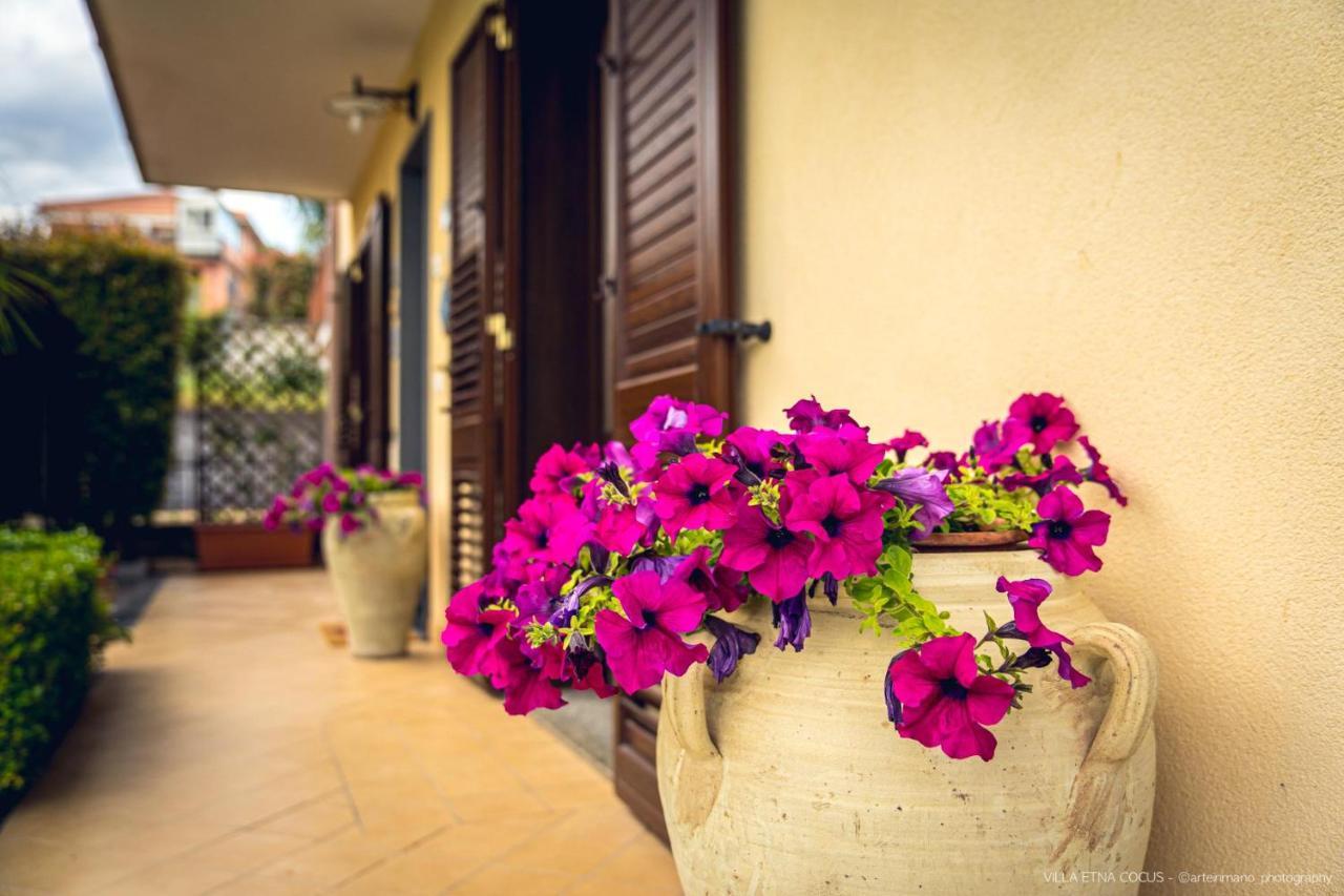 Casa Vacanze Etna Cocus Santa Venerina Zewnętrze zdjęcie